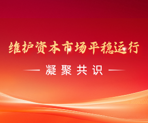 维护资本市场平稳运行
